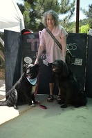 2023-07-21 Evergreen Ambary Garden Dog Photobooth eight two black dogs  005