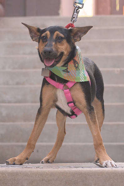 2024-08-17_EAPL_Tilly_002.jpg
