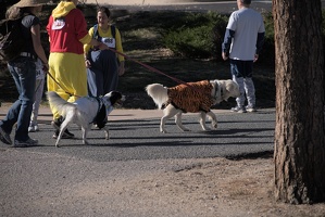 2024-10-07-EAPL-ZombieRun-FinsihLine -078