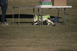 2024-10-07-EAPL-ZombieRun-Candids -005