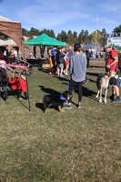IMG 1528