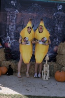 2024-10-07-EAPL-ZombieRun-PhotoBooth -133
