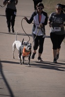 2024-10-07-EAPL-ZombieRun-SecondLap -135