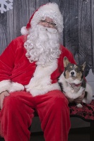 2024-12-07-Eartha-EAPL ChowDown-Santa  002
