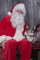 2024-12-07-Eartha-EAPL ChowDown-Santa  006