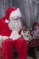 2024-12-07-Eartha-EAPL ChowDown-Santa  008