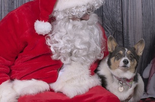 2024-12-07-Eartha-EAPL ChowDown-Santa  009