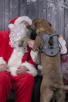 2024-12-07-Legacy-EAPL ChowDown-Santa  011