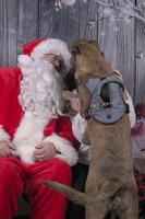 2024-12-07-Legacy-EAPL ChowDown-Santa  012