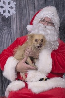 2024-12-07-Ripley-EAPL ChowDown-Santa  001