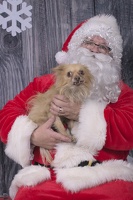 2024-12-07-Ripley-EAPL ChowDown-Santa  002
