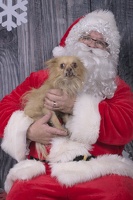 2024-12-07-Ripley-EAPL ChowDown-Santa  004