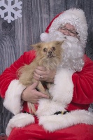 2024-12-07-Ripley-EAPL ChowDown-Santa  005
