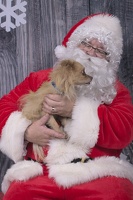 2024-12-07-Ripley-EAPL ChowDown-Santa  006