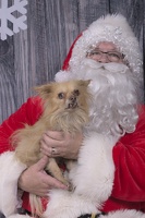 2024-12-07-Ripley-EAPL ChowDown-Santa  008