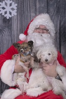 2024-12-07-Tilly-Lennon-EAPL ChowDown-Santa  001