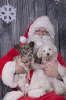2024-12-07-Tilly-Lennon-EAPL ChowDown-Santa  002