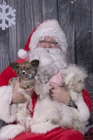 2024-12-07-Tilly-Lennon-EAPL ChowDown-Santa  003