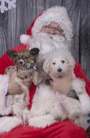 2024-12-07-Tilly-Lennon-EAPL ChowDown-Santa  004