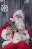2024-12-07-Tilly-Lennon-EAPL ChowDown-Santa  005