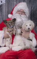 2024-12-07-Tilly-Lennon-EAPL ChowDown-Santa  006