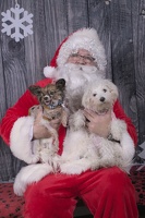 2024-12-07-Tilly-Lennon-EAPL ChowDown-Santa  007