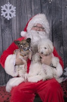 2024-12-07-Tilly-Lennon-EAPL ChowDown-Santa  008