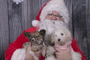2024-12-07-Tilly-Lennon-EAPL ChowDown-Santa  010