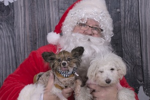 2024-12-07-Tilly-Lennon-EAPL ChowDown-Santa  011