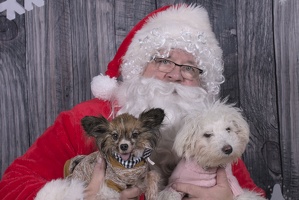 2024-12-07-Tilly-Lennon-EAPL ChowDown-Santa  013
