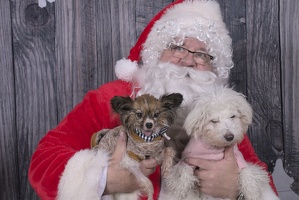 2024-12-07-Tilly-Lennon-EAPL ChowDown-Santa  014