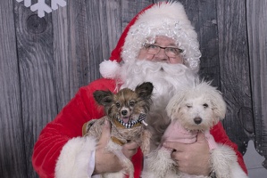 2024-12-07-Tilly-Lennon-EAPL ChowDown-Santa  016