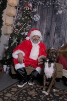 2024-11-06 EAPL Santa Pics Bambino  043