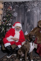 2024-11-06 EAPL Santa Pics Bambino  044