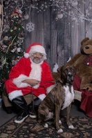 2024-11-06 EAPL Santa Pics Bambino  045