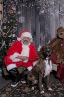 2024-11-06 EAPL Santa Pics Bambino  046
