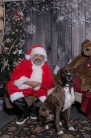 2024-11-06 EAPL Santa Pics Bambino  047