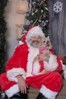 2024-11-06 EAPL Santa Pics Cyndi  034