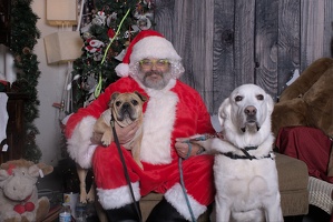 2024-11-06 EAPL Santa Pics Dave and Lady Bear  036