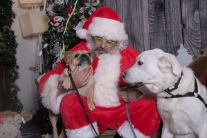 2024-11-06 EAPL Santa Pics Dave and Lady Bear  041