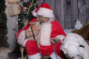 2024-11-06 EAPL Santa Pics Dave and Lady Bear  042