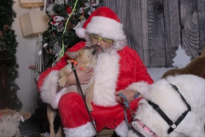 2024-11-06 EAPL Santa Pics Dave and Lady Bear  043