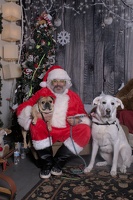 2024-11-06 EAPL Santa Pics Dave and Lady Bear  044