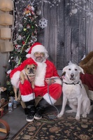 2024-11-06 EAPL Santa Pics Dave and Lady Bear  045