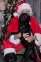 2024-11-06 EAPL Santa Pics Gypsey  036