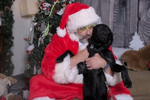 2024-11-06 EAPL Santa Pics Gypsey  038