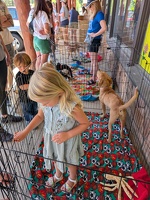 PXL 20250628 161837320.MP