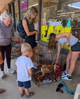 PXL 20250628 162457583