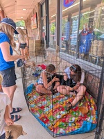 PXL 20250628 162608337.MP