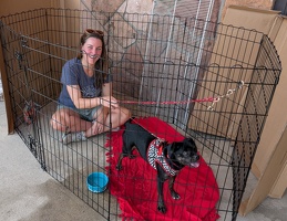 PXL 20250628 162623989.MP